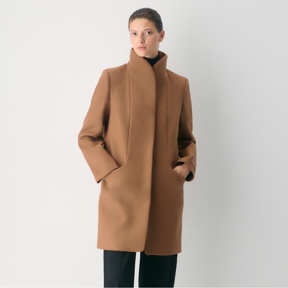 ARITZIA Coat